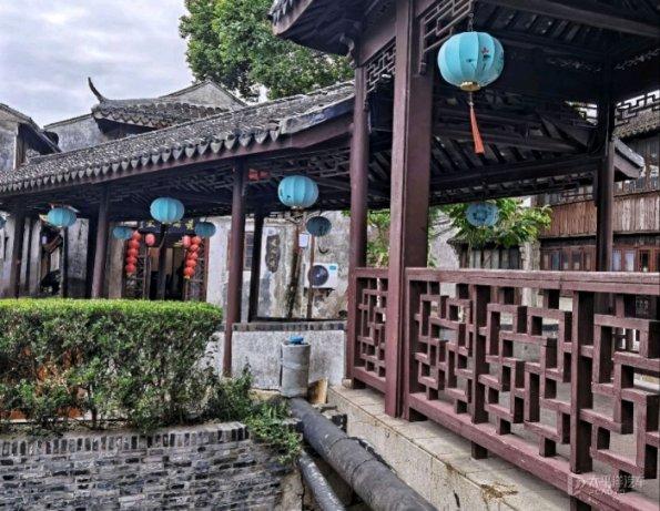 救援受困的鬃狼